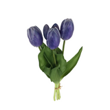 PA10416 TULIP BUNDLEx5 16"