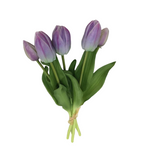 PA10416 TULIP BUNDLEx5 16"