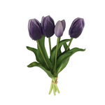 PA10416 TULIP BUNDLEx5 16"