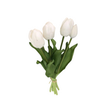 PA10416 TULIP BUNDLEx5 16"