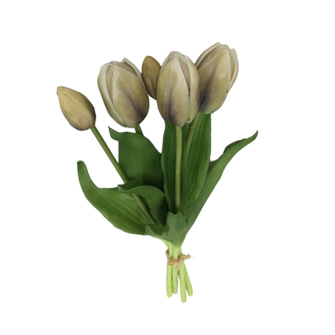PA10416 TULIP BUNDLEx5 16"