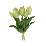 PA10416 TULIP BUNDLEx5 16"