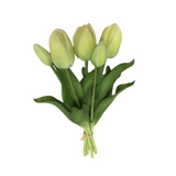 PA10416 TULIP BUNDLEx5 16"