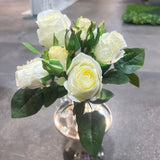 PA10417 ROSE BQTx9 12"