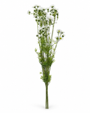 PA10451 DAISY BUNDLEx3  26"