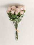 PA10452 MINI ROSE BUNDLEx6  23"