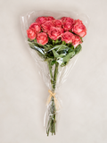 PA10452 MINI ROSE BUNDLEx6  23"