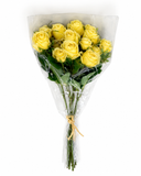 PA10452 MINI ROSE BUNDLEx6  23"
