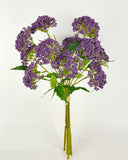 PA10457 SCALLION BUNDLEx5 17"