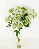 PA10457 SCALLION BUNDLEx5 17"