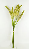 PA10458 SORGHUM BUNDLEx5 28"