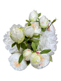 PA10465 MIXED PEONY BUNDLEx4 30"
