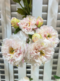 PA10466 OPEN PEONY BUNDLEx7 27"