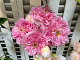 PA10466 OPEN PEONY BUNDLEx7 27"