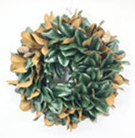 PM10431 MAGNOLIA LVS WREATH 24"