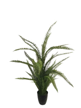 PM10504 POTTED FERN,43in-4P