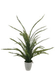 PM10505 POTTED FERN,3'-4P