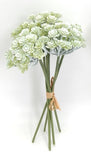 PM10532 SEDUM BUNDLEx6,12"