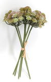 PM10532 SEDUM BUNDLEx6,12"
