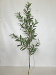 SY11072 OLIVE LEAF BRANCH,53"