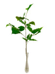 SY11146 MULBERRY LEAVES SPRAY 29"