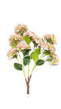 Hydrangea Tree Branch