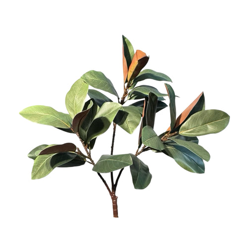 SY20027 MAGNOLIA LVS TREE BRANCH
