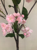 TR10401 CHERRY BLOSSOM TREE (NO POT),8'-1P