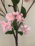 TR10402 CHERRY BLOSSOM TREE (NO POT),6'-2P