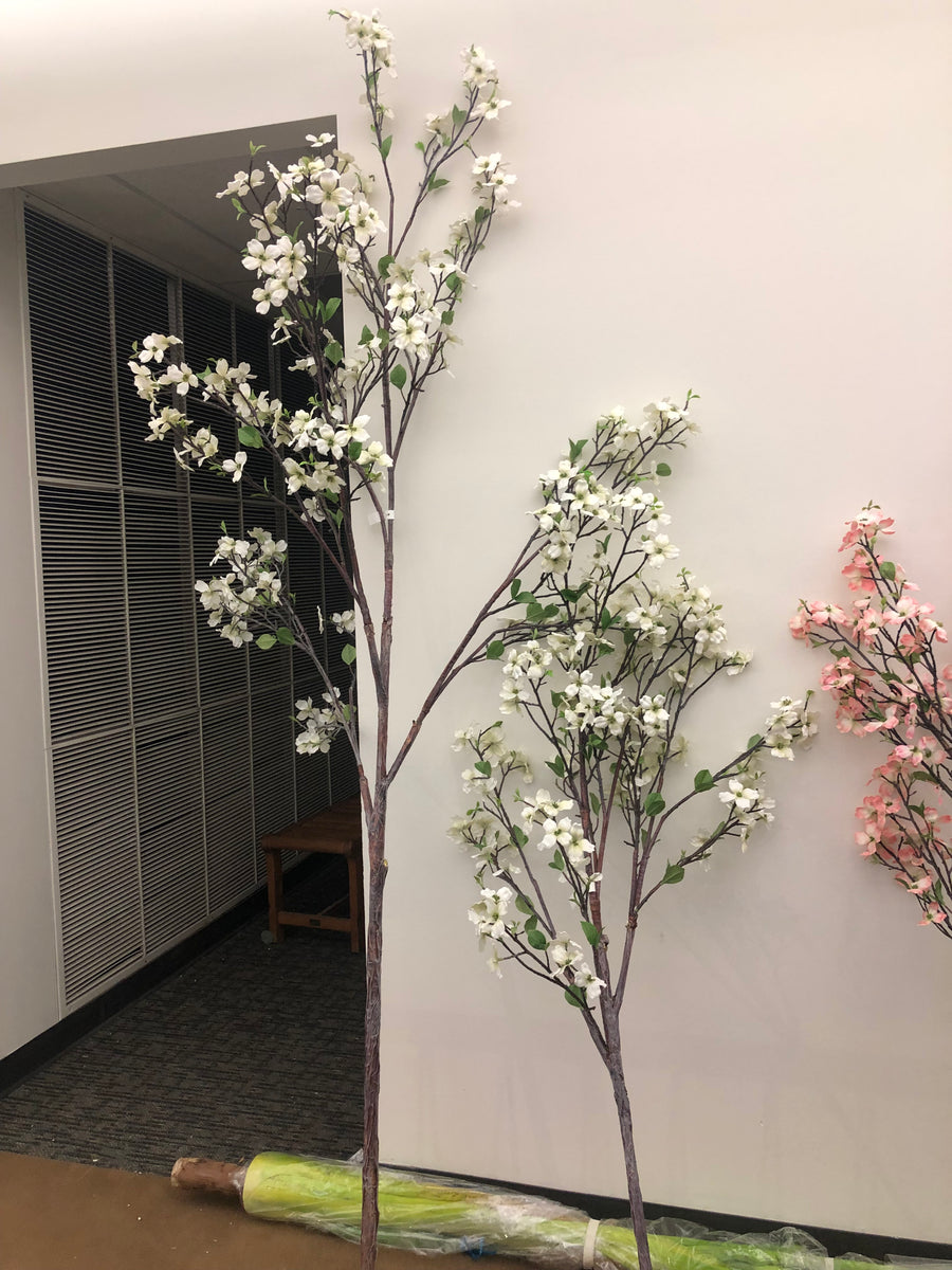TR10403 DOGWOOD TREE (NO POT),8'-1P/1.11' – Green Import Limited