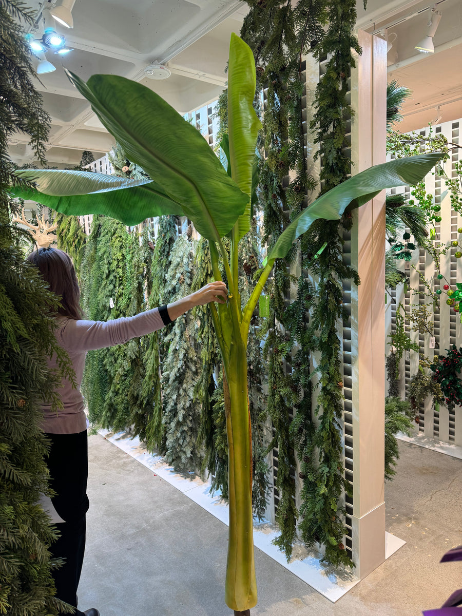 TR10497 PU BANANA TREE,7.5'-2P/5.62' – Green Import Limited