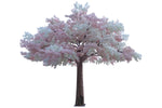 TR10618 GIANT TREE TRUNKx272,16'