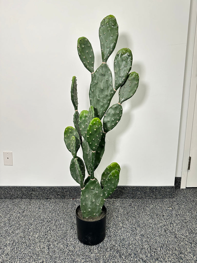 potted prickly pear cactus TR10762 POTTED PEAR CACTUS,4' – Green Import Limited