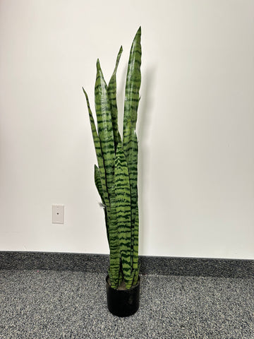 TR10764 POTTED SANSEVIERIA,45"