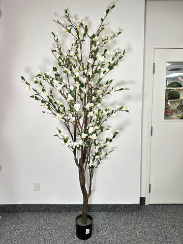 TR10771 POTTED MAGNOLIA FLR TREE,8'