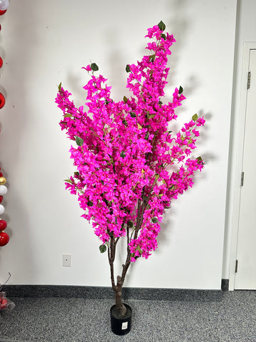 TR10773 POTTED BOUGAINVILLEA TREE,7'