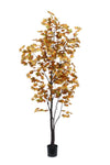 TR10792 CANADIAN MAPLE TREEx525L (KD),8'