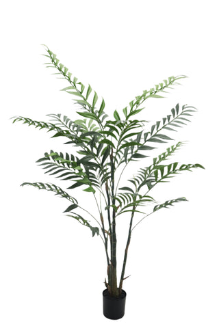 TR10793 BAMBOO PALM TREEx4 w/351L,4'