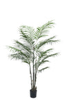 TR10795 ARECA PALM TREEx4 w/517L,4'