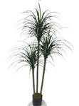 TR10814 YUCCA TREEx3,6'-2P