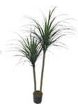 TR10815 YUCCA TREEx3,5'-4P