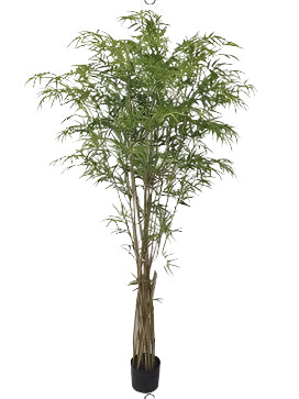 TR10816 BAMBOO TREE w/TWISTED TRUNK,80in-2P