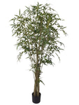 TR10817 BAMBOO TREE w/TWISTED TRUNK,6'-2P