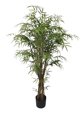 TR10818 BAMBOO TREE w/TWISTED TRUNK,5'-2P