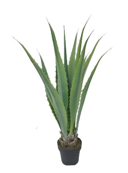TR10819 POTTED ALOE PLANT,43in-4P