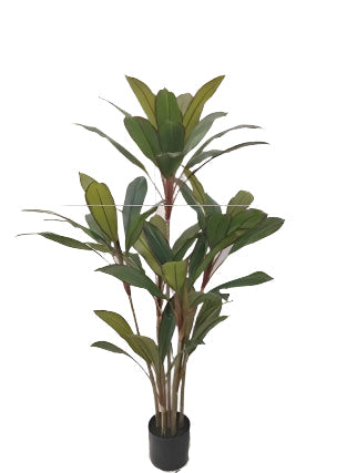 TR10820 POTTED CORDY LINE PLANT,6'-2P