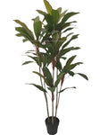 TR10821 POTTED CORDY LINE PLANT,5'-4P