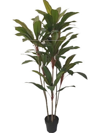TR10821 POTTED CORDY LINE PLANT,5'-4P
