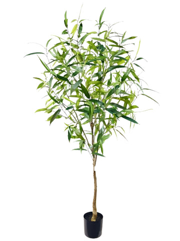 TR10822 EUCALYPTUS TREE,7'-2P