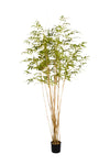 TR10823 BAMBOO TREE,7'-2P